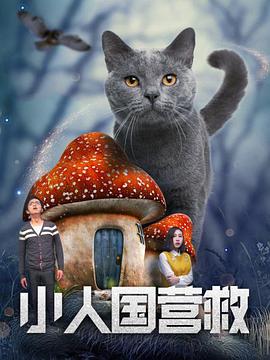 午夜黄色网