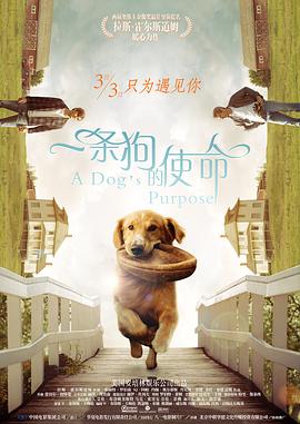 岛上的秘密小屋